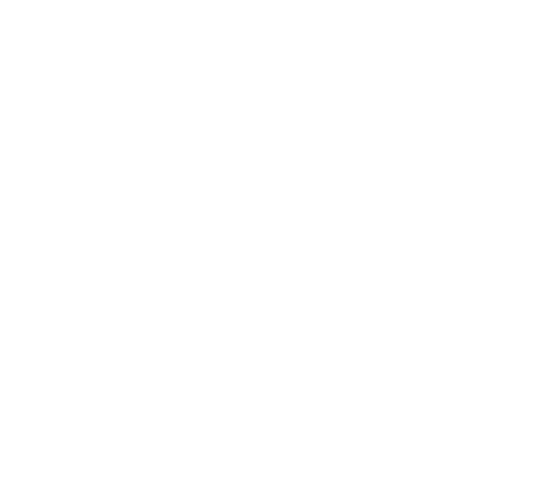 FhixNet Vps